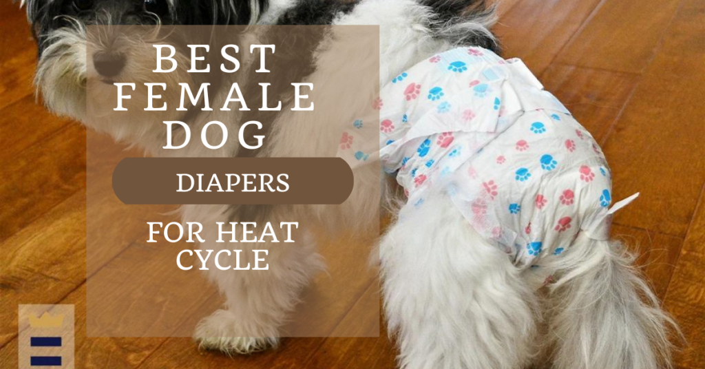 Best Female Dog Diapers For Heat Cycle