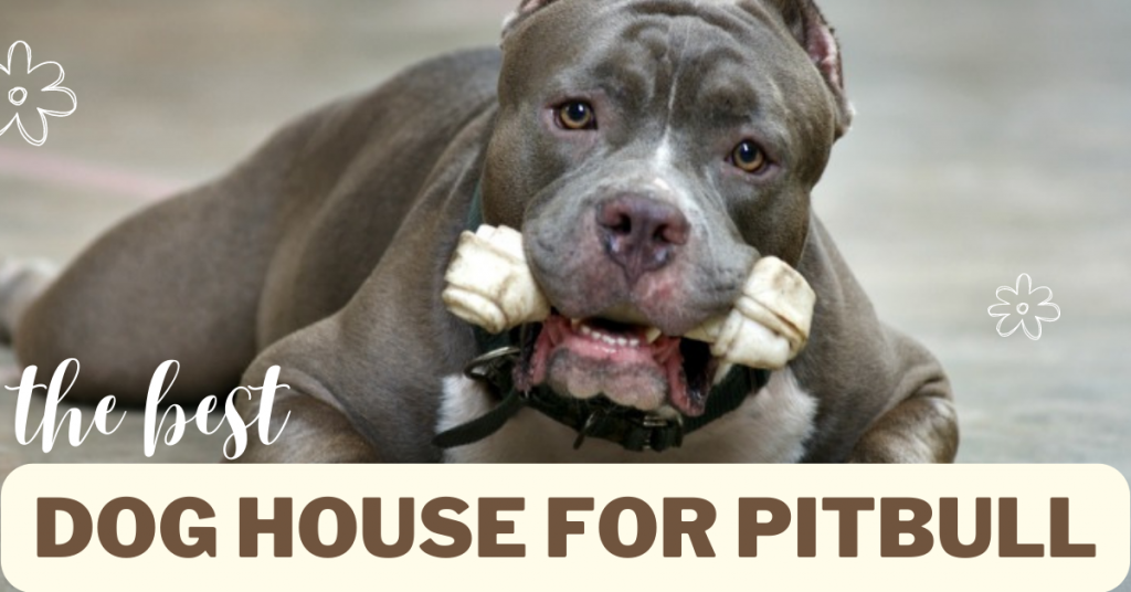 Best Dog House For Pitbull for 2023