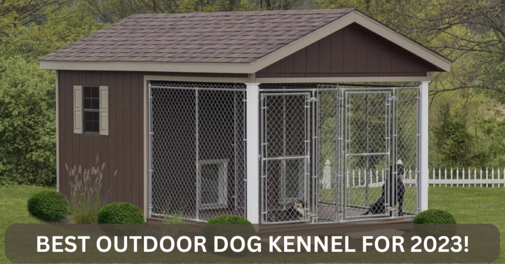 Best Outdoor Dog Kennel For 2023