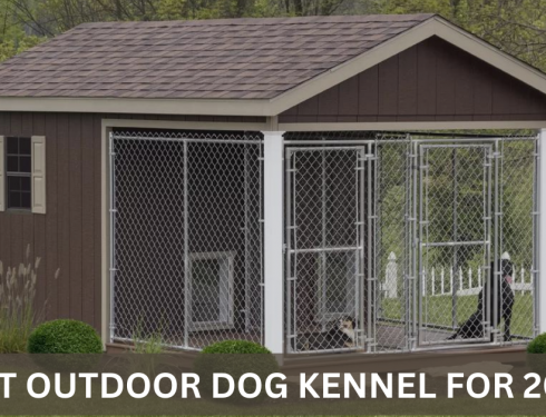 BEST OUTDOOR DOG KENNEL