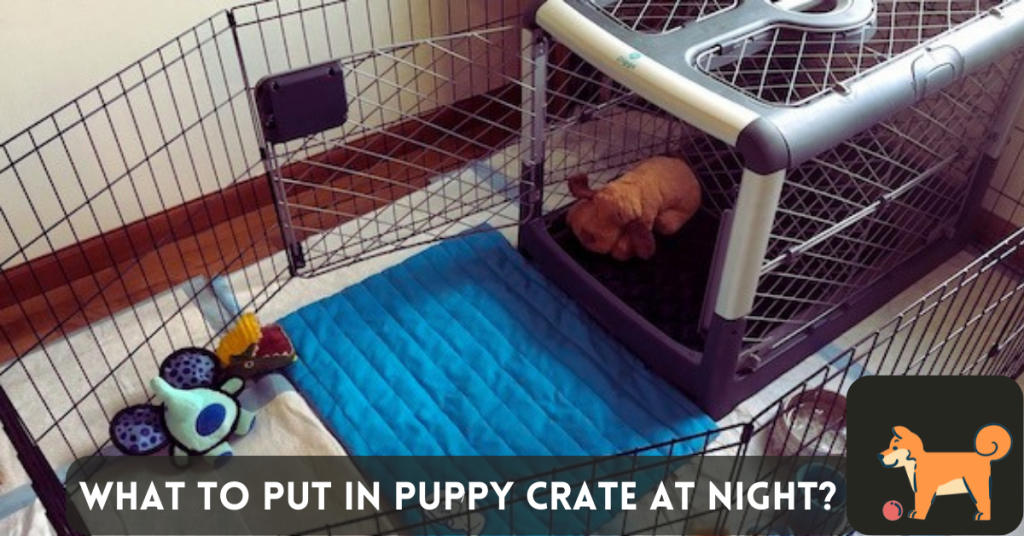 What To Put in Puppy Crate at Night?