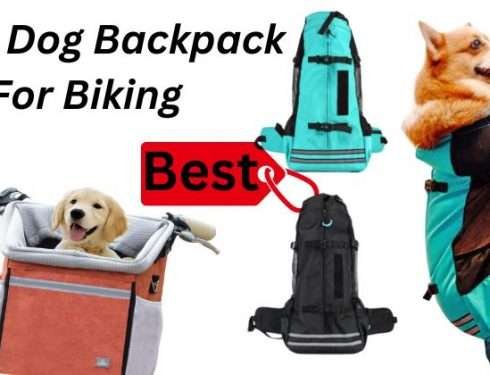 Best large dog backpack for biking: