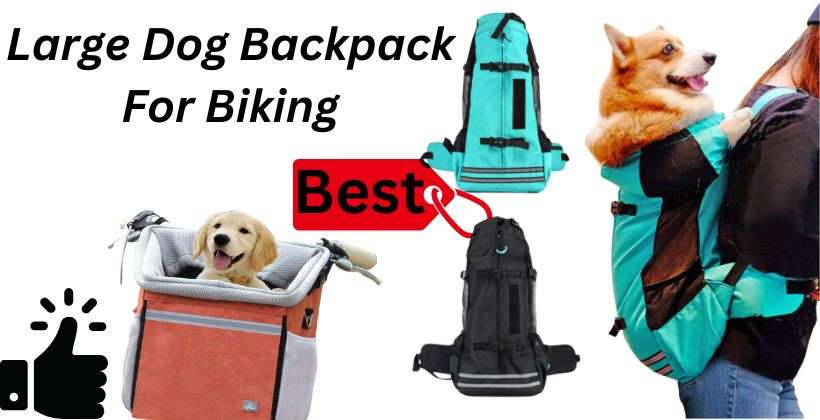 Best large dog backpack for biking:
