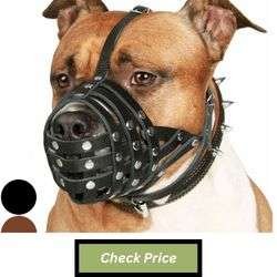 CollarDirect Pitbull Dog Muzzle Leather