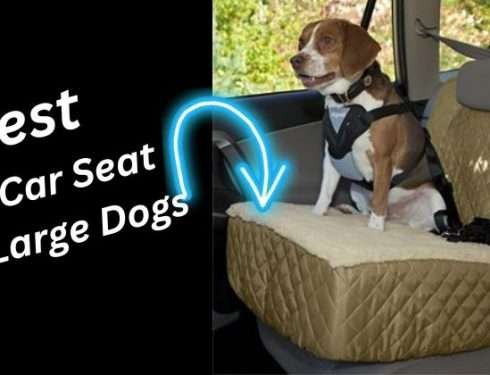 Best Dog Car Seat For Large Dogs