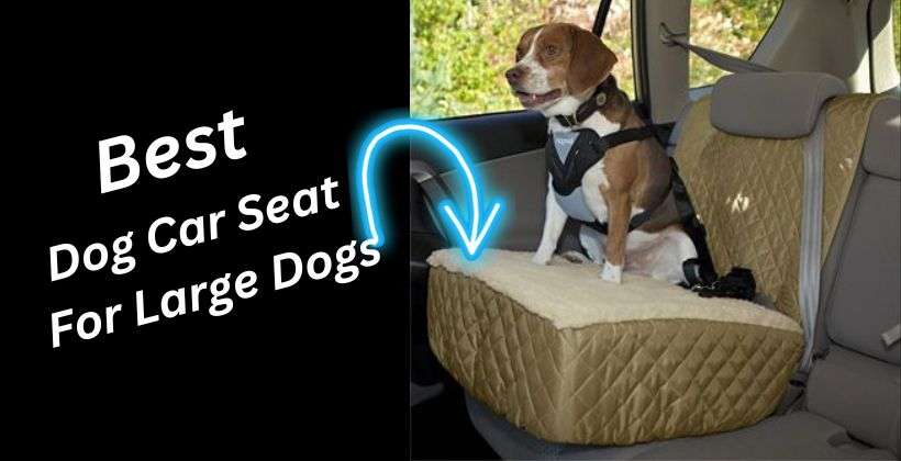 Best Dog Car Seat For Large Dogs