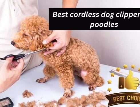 Best cordless dog clippers for poodles