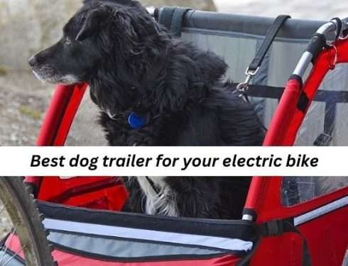 Best dog trailer for your electric bike