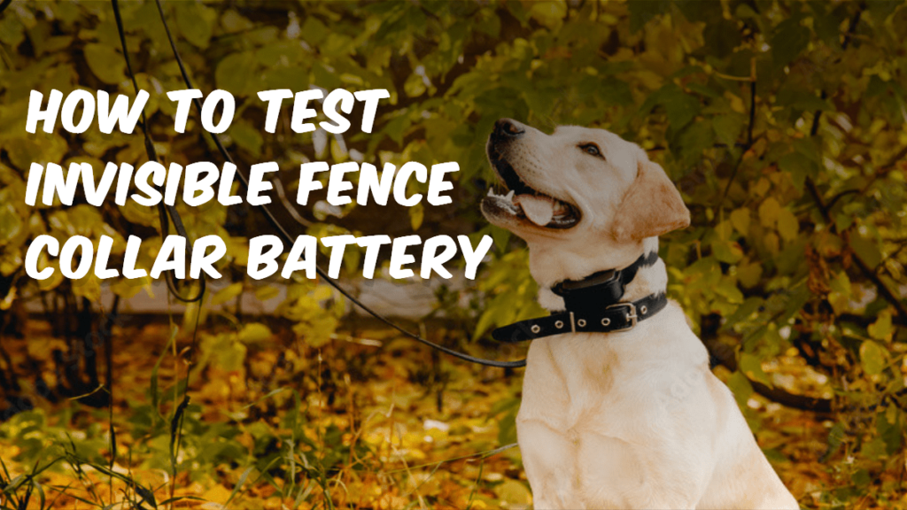 How to Test Invisible Fence Collar Battery