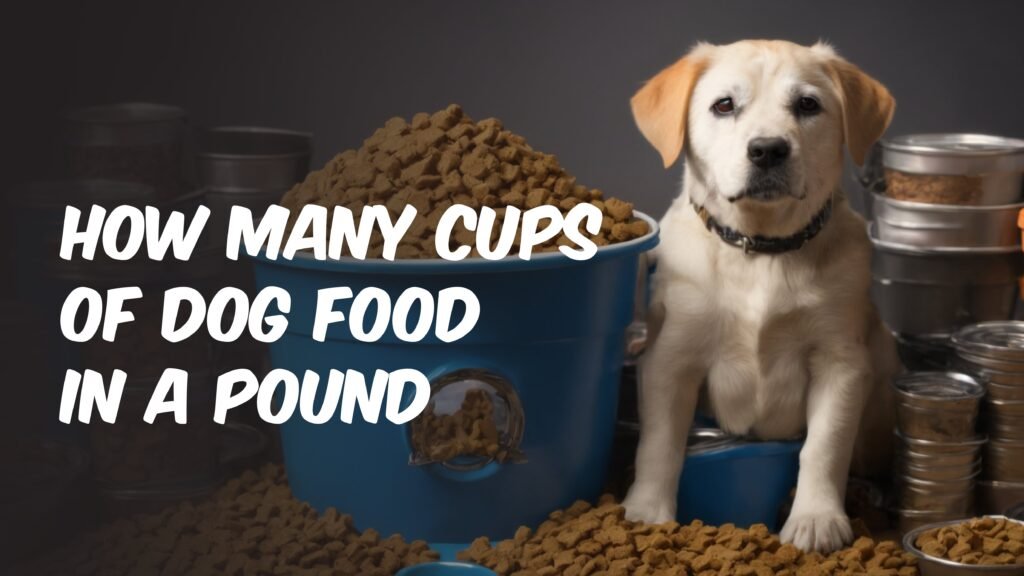 How Many Cups of Dog Food in a Pound