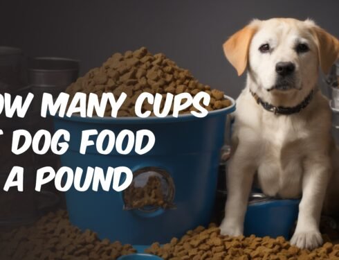 Visual comparison of a pound of dog food next to a measuring cup.