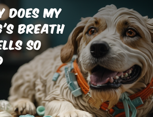 Close-up of a dog's mouth with visible teeth and tongue, illustrating the topic of bad breath in dogs.